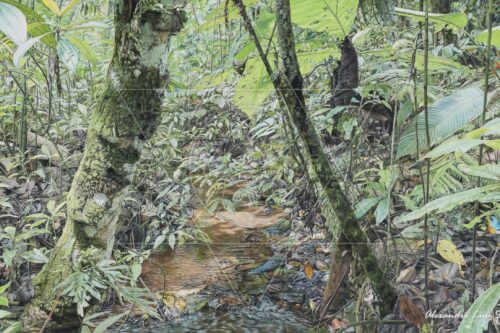 Ares da Cantareira II - arte animada