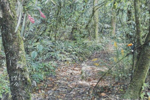 Ares da Cantareira  IV – pintura original