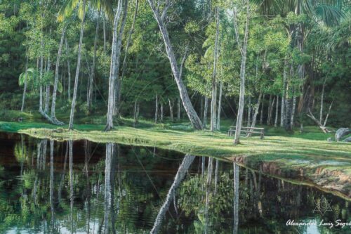 Águas de Cruzeiro do Sul – pintura original