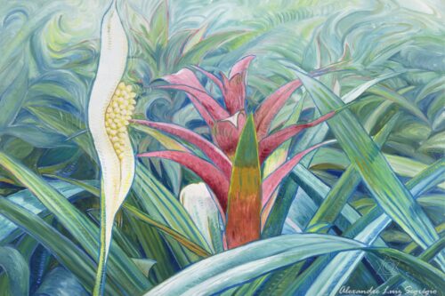 Lírio da Paz e Bromélia - original