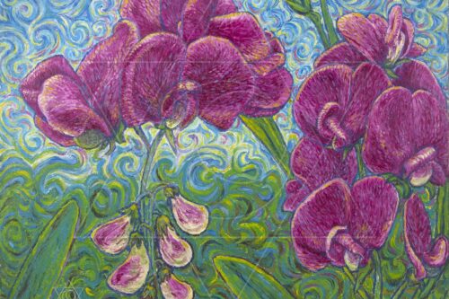 Orquídeas Rosa - original