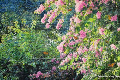 Primavera - pintura original