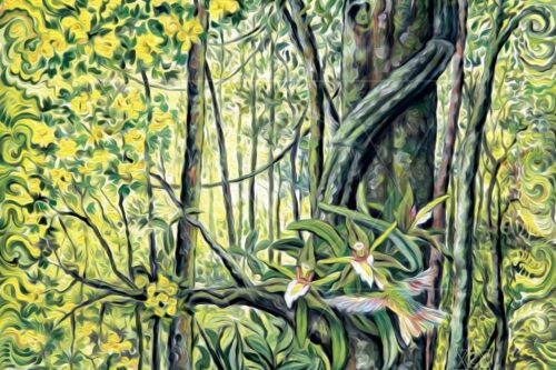 Beija Flor - releitura do original