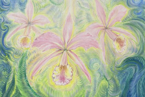 Orquídea - original